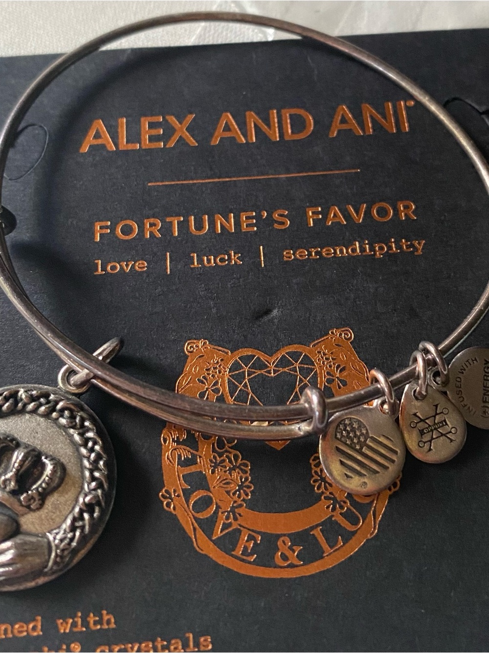 Alex and Ani Silver Tone Charm Bangle with Mixed Charms